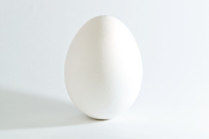 White_chicken_egg