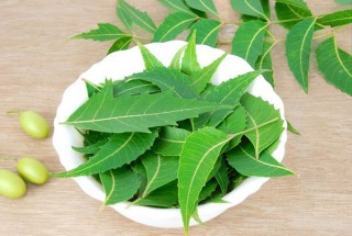 Benefits-of-Neem-for-Health